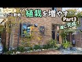 【小さな庭DIY】「植栽エリアを作ります」シリーズ Part3 ~植栽・石・照明・そして完成~
