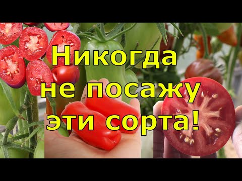 Разочаровали... Томаты, которые больше не посажу