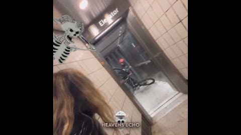 W Bro...                                               #heavensecho #memes #remixheaven #musicmashup