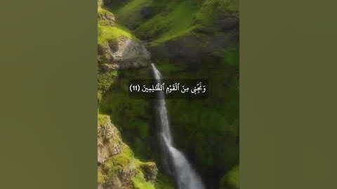 تلاوة هادئة من خواتيم سورة التحريم (ضرب الله مثلا للذين كفروا......) القارئ عبدالرحمن الحمادي