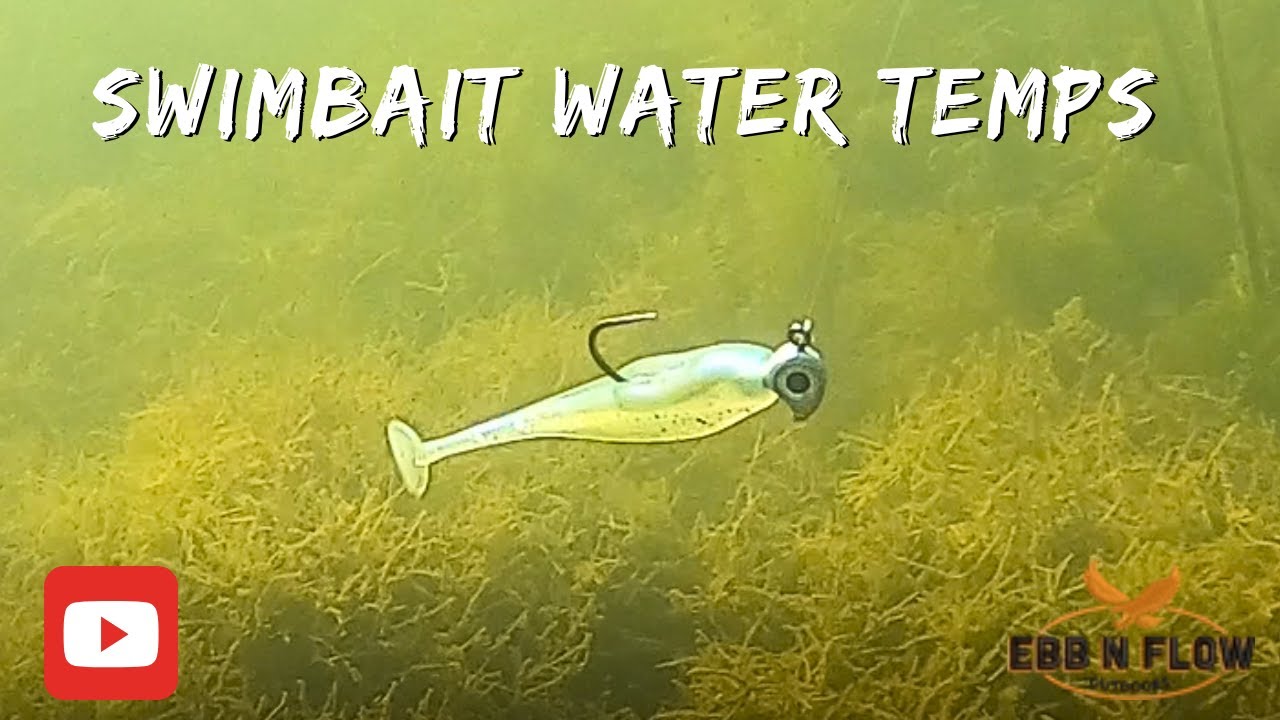 How to choose the Right Swimbait! Water temperature is everything!