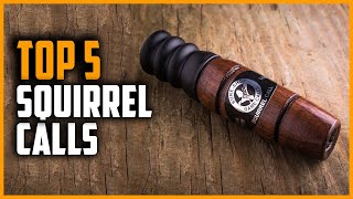 Top 5 Best Squirrel Calls in 2024