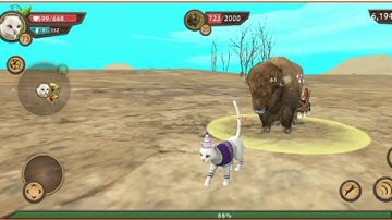 Killing all bosses with My cats in cat sim online play with cats| level 1to 200 level ♡