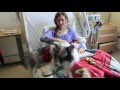 Behind the scenes:   Brodie the therapy dog