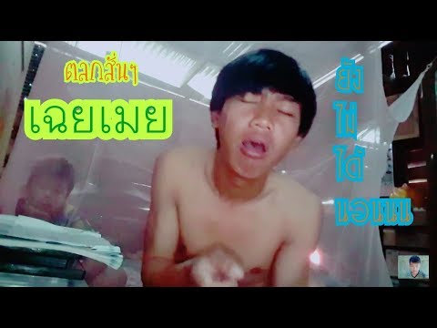 เฉยเมย เวอร์ชั่นสายควัน by[ชินจังcover]