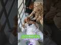 تلاوة تبكي القلوب للشيخ الجليل سيد سعيد ومشهد مؤثر لرجل أمن يساعد حاج ا مسن ا ارح قلبك راحة نفسية