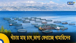 খাঁচায় মাছ চাষ , ভাগ্য ফেরাচ্ছে খামারিদের | Cage fish farming method | Global TV Program