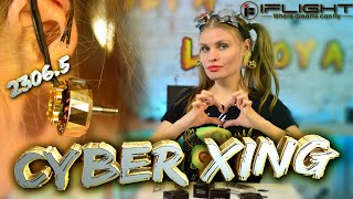 iFlight cyber XING 2306,5: пафосные и стильные моторы для FPV квадрокоптера - обзор / review