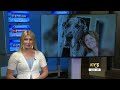 Newton County, Mo., Great Dane breeder case leaves potential buyer out thousands