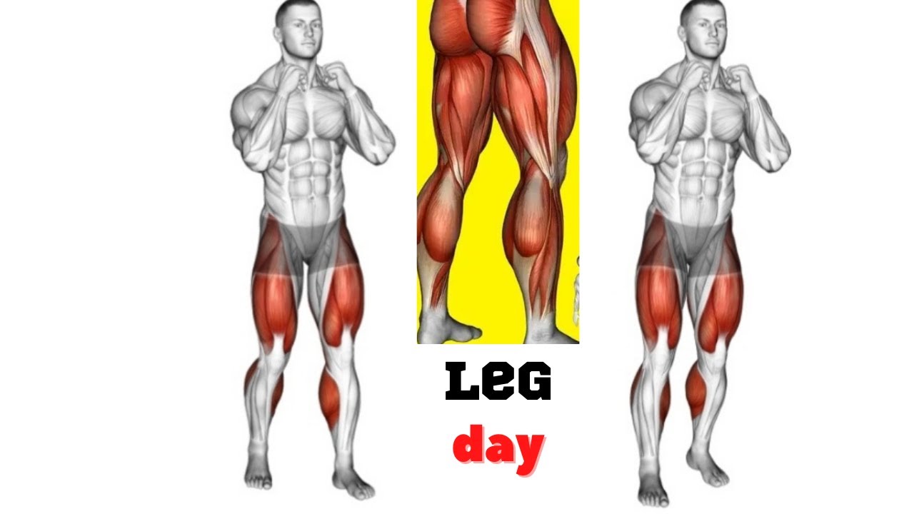Best Legs Workout Routine for Huge Quadriceps and Hamstring Gains - YouTube