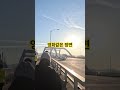 달려야 느낄 수있는 풍경(을숙도대교)#running #shorts #달리기
