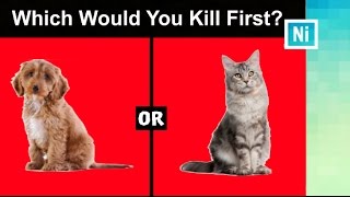 10 HARDEST CHOICE EVER TO REVEAL YOUR TRUE PERSONALITY!! (TEST)