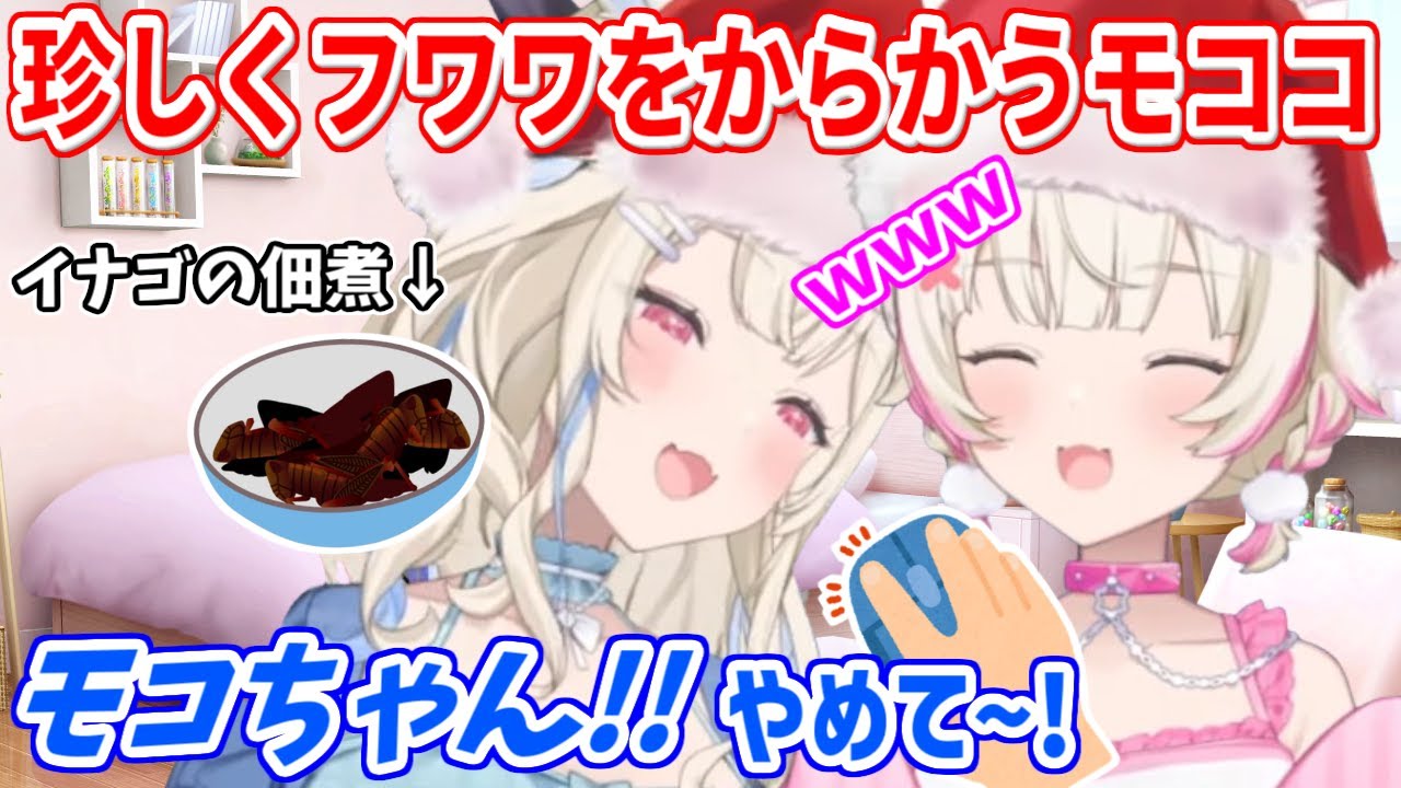 フワワにイナゴの画像を徐々に近づけてからかうモコちゃん【ホロライブ切り抜き/FUWAMOCO/フワモコ】