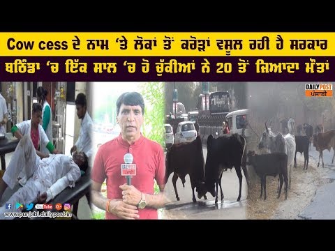 Cow cess ਦੇ ਨਾਮ ਕਰੋੜਾਂ ਵਸੂਲ ਰਹੀ ਹੈ ਸਰਕਾਰ ,ਬਠਿੰਡਾ `ਚ ਇੱਕ ਸਾਲ `ਚ ਹੋ ਚੁੱਕੀਆਂ ਨੇ 20 ਤੋਂ ਜਿਆਦਾ ਮੌਤਾਂ