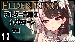 【ELDEN RING/エルデンリング】１２　前回の続　ノクローンとアルター高原の探索をするよ！あとＮＰＣに話しかける　　※ネタバレ注意　【夜見れな/にじさんじ】
