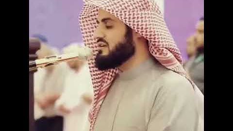 رعد الكردى تلاوة من سورة النحل