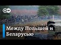 Между польскими и белорусскими пограничниками: мигранты у границ ЕС