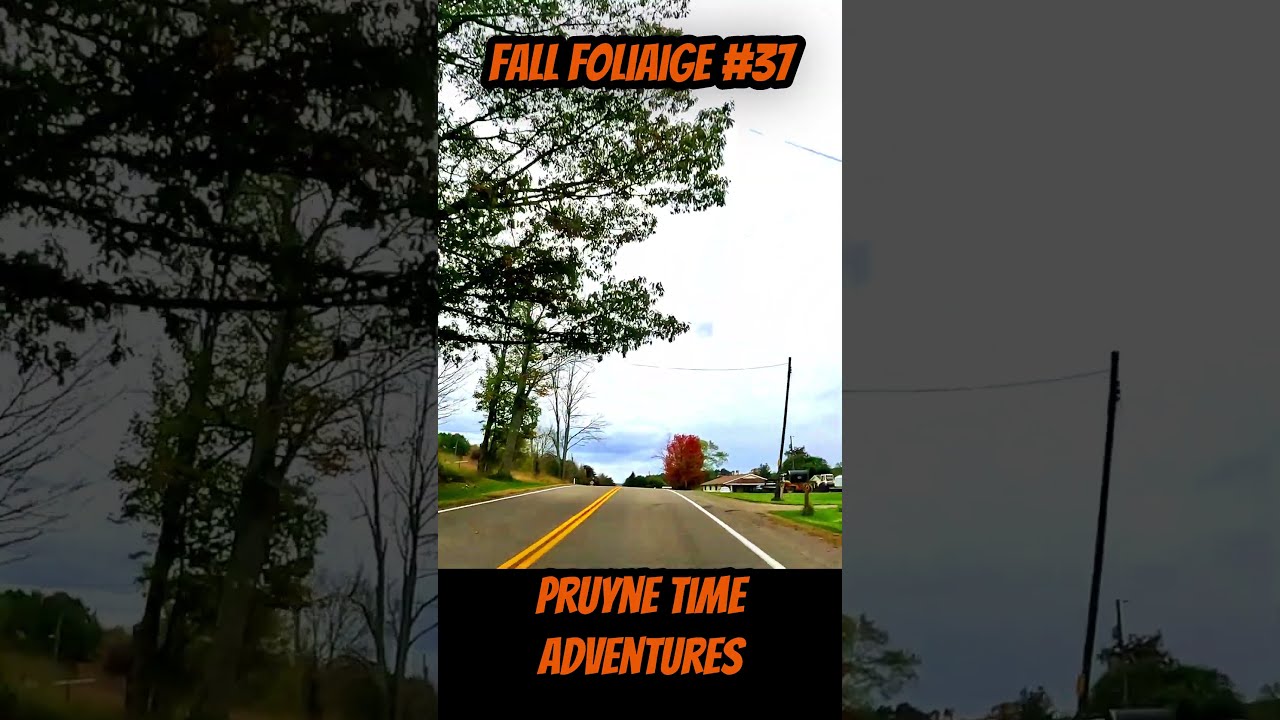 FALL FOLIAGE #37: Towards Elkland PA | Rural Roads & Autumn Colors in Motion