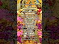 ஓம் முருகா🙏#god#murugan#happy#life#devotional#speech#subscribe#my#viral#yt#shortvideo#shorts#please#