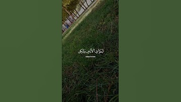 سورة الشورى الآية 27 #اللهم_انصر_اخواننا_في_فلسطين