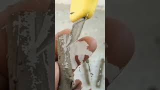 Cutting Branch Trees With Onion Get Roots Long