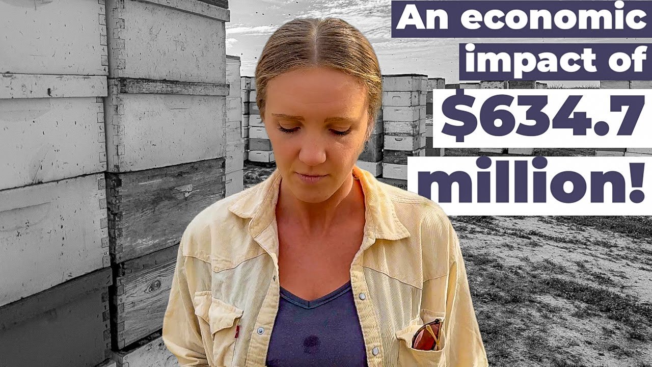 1.1 MILLION Honey Bee Colonies Are DEAD?! Beekeeping 101 #beekeeping