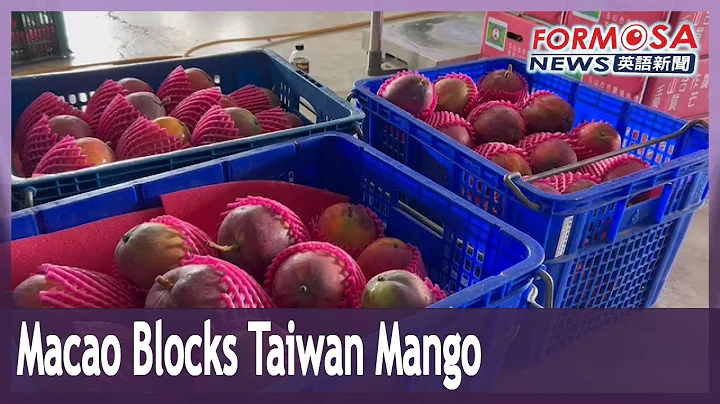 Macao hits Taiwan mango with one-week import ban over COVID scare - DayDayNews