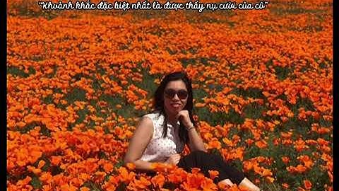 Tác phẩm: Thầy cô trong mắt em Trường THCS Thăng Long lớp 8A1