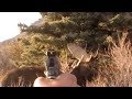 Pistol vs big moose