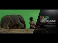 Ali Kathawa (අලි කතාව) VFX Breakdown