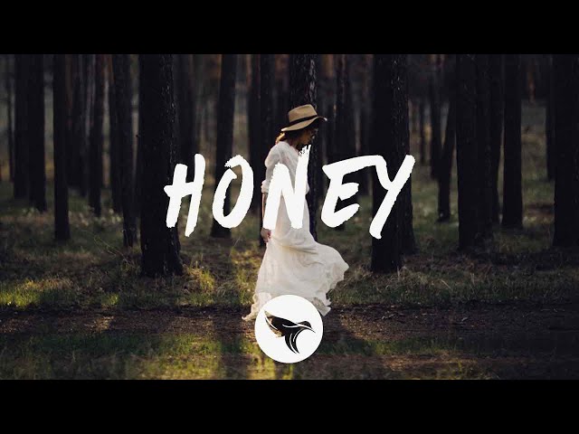 高木フトシ/lyrics re:recording(THE HATE HONEY Halsey - honey (Lyrics) - YouTube