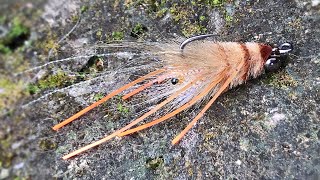 Fly Tying : Nayat Mantis Shrimp