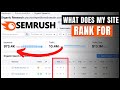 How To Find Out What Keywords Your Website Ranks For | Google Rank Checker with SEMRush Tutorial