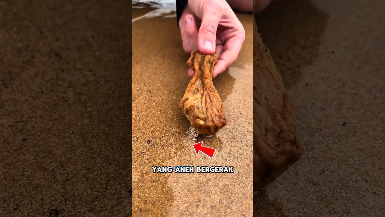 Dia menemukan cacing laut menakutkan 😰 @tightlinezaus