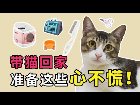 带猫回家准备这些心不慌 妈妈级秘籍 新手养猫手册第一期