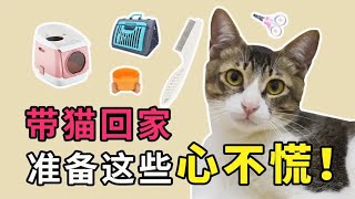 带猫回家准备这些心不慌 妈妈级秘籍 新手养猫手册第一期