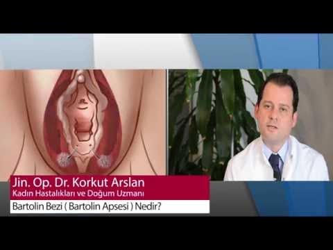 Yapon porno mahrumligi