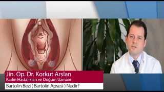 Bartolin Bezi (Bartolin Apsesi) Nedir?