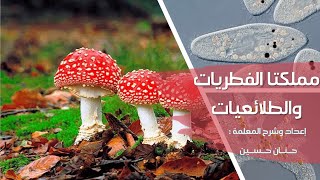 الصف السابع : مملكتا الفطريات والطلائعيات