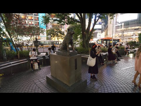 Video: Denkmal Für Den Russischen Hachiko In Tscheljabinsk Enthüllt - Alternative Ansicht