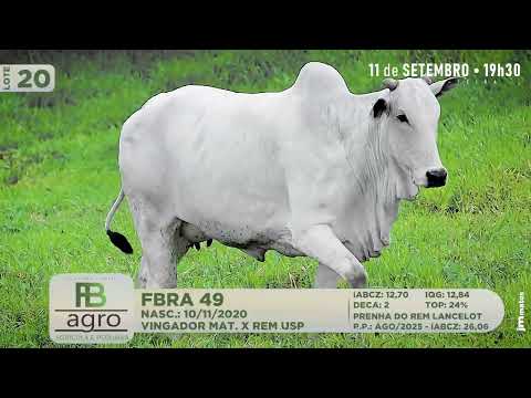 LOTE 20   FBRA 49