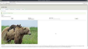 Custom ERP Drupal 8 Distribution - Demo roles and content
