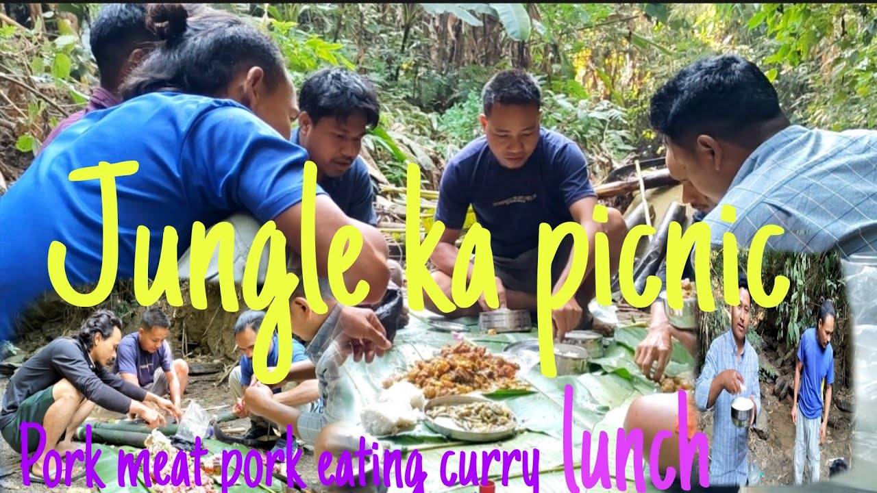 Friend के साथ picnic jarahe hai jungle|northeast@ Sailen kaipeng vlog