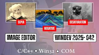 Image Editor And Color Picker Project by Laxmikant Sanjay Tate, WinDev2025