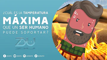 ¿A qué temperatura puede sobrevivir un ser humano?