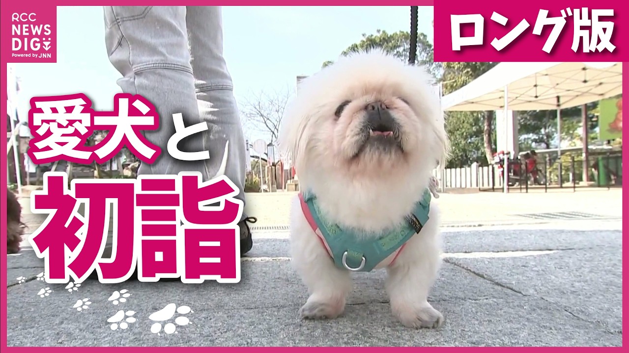 Long version] Dog lovers gather at Oyama Shrine in Onomichi