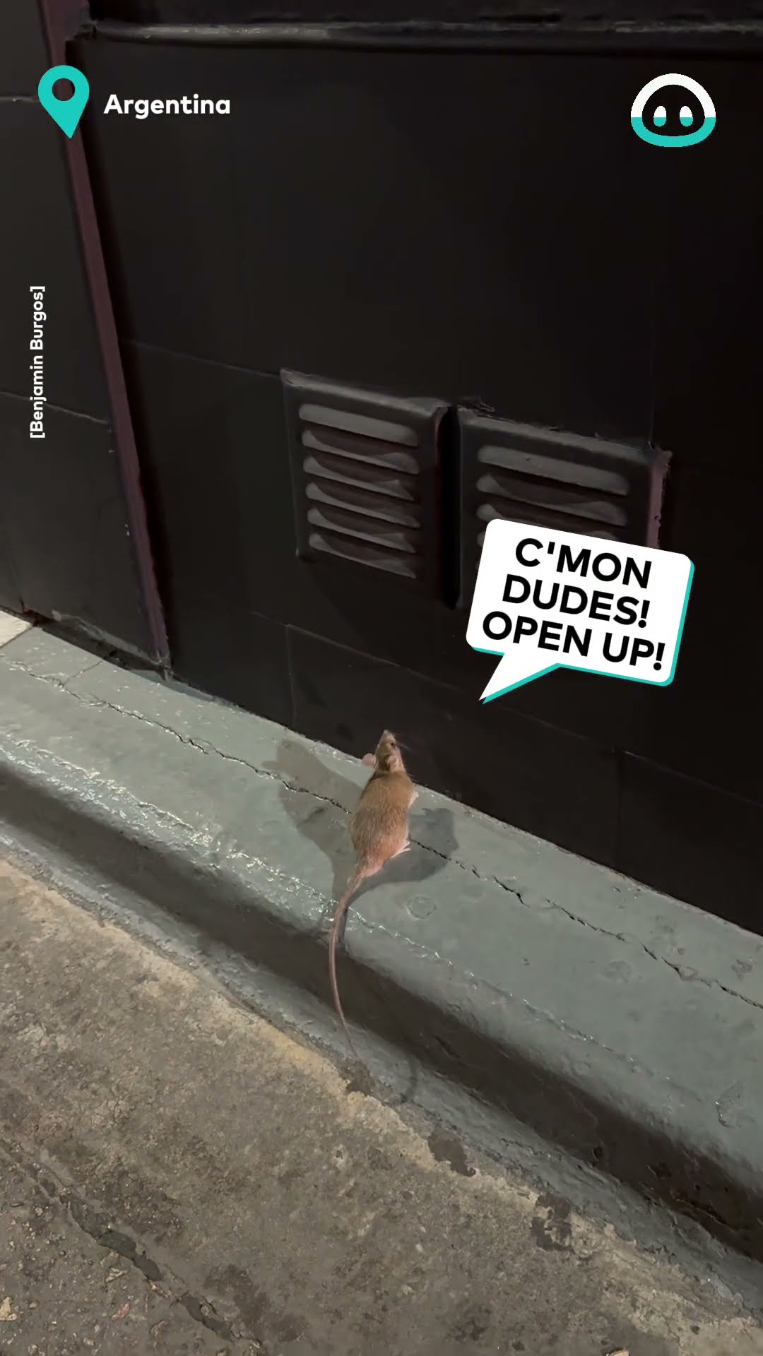 Ratatouille Escapes Restaurant || ViralHog