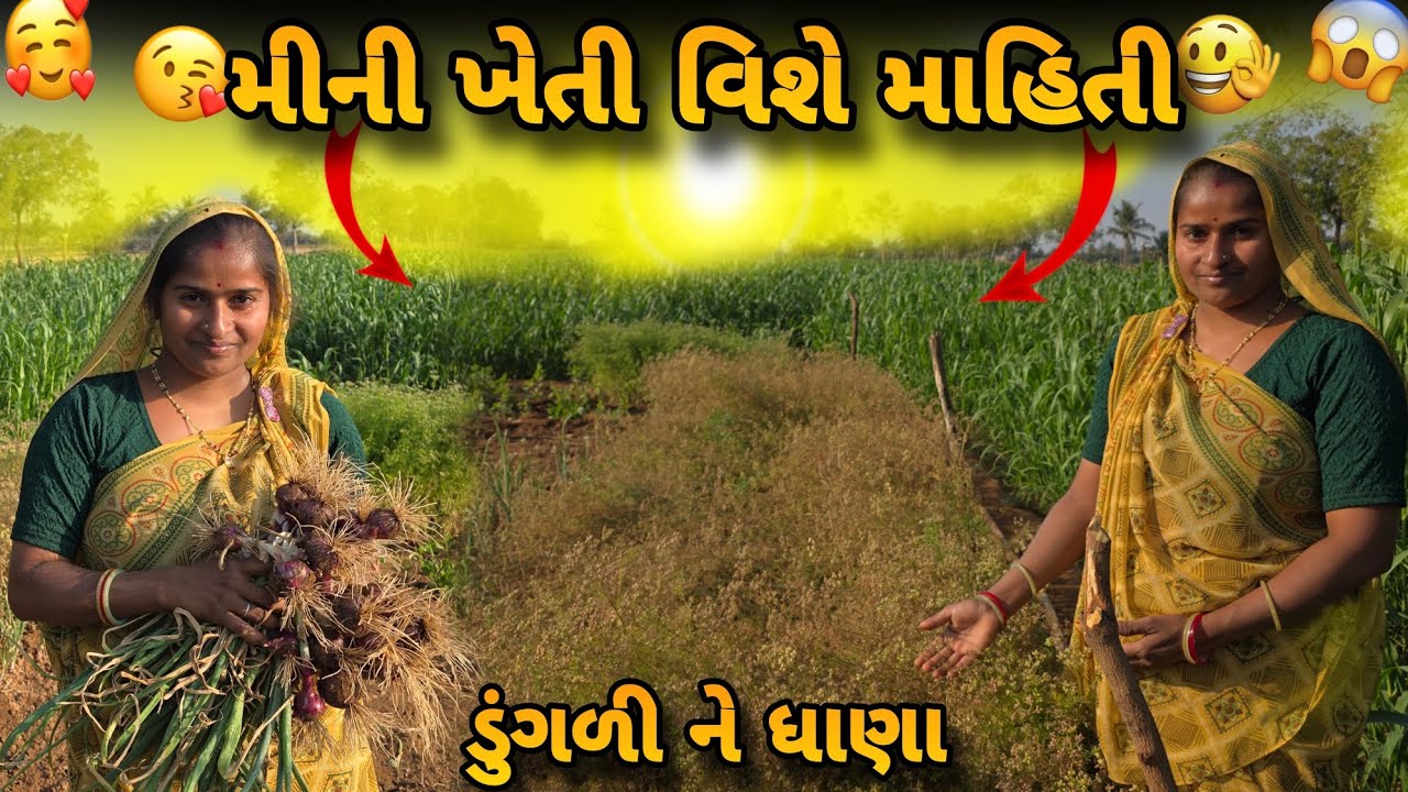 આપણી મીની ખેતી વિશે માહિતી 🌱