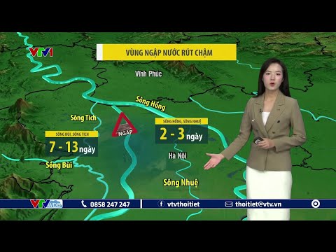 Dự báo thời
