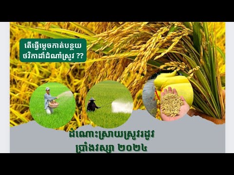 ណែនាំអំពីនីតិវិធីប្រើប្រាស់ជីបំប៉នធម្មជាតិឬជីសេរីរាង្គ Viet Sang Agriculture